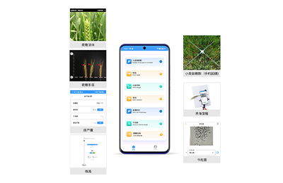 小麦表型检测仪IN-XM04
