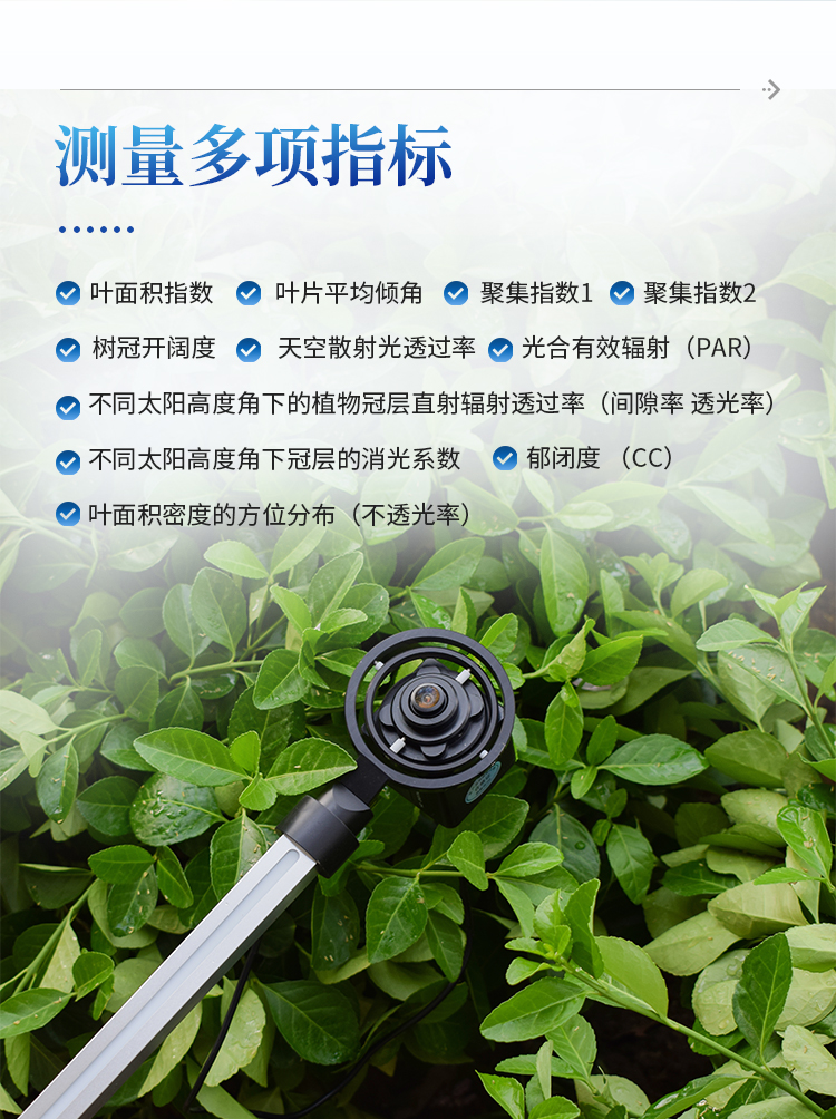 冠层分析仪