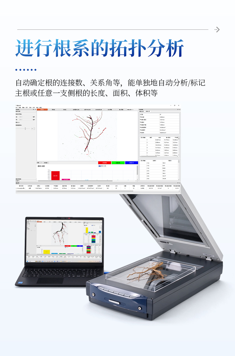 植物根系图像分析仪 植物根系图像分析仪